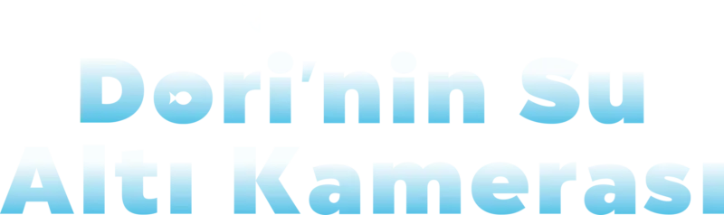 Dori'nin Su Altı Kamerası