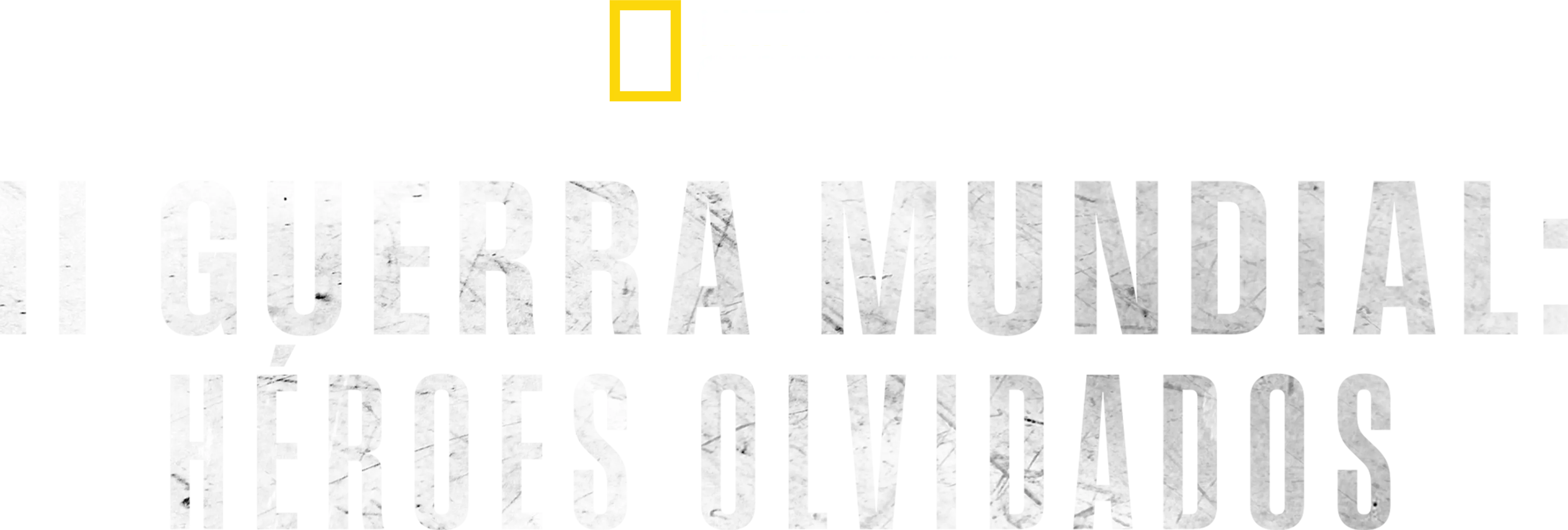 II Guerra Mundial: Héroes olvidados