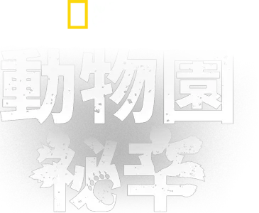 動物園祕辛