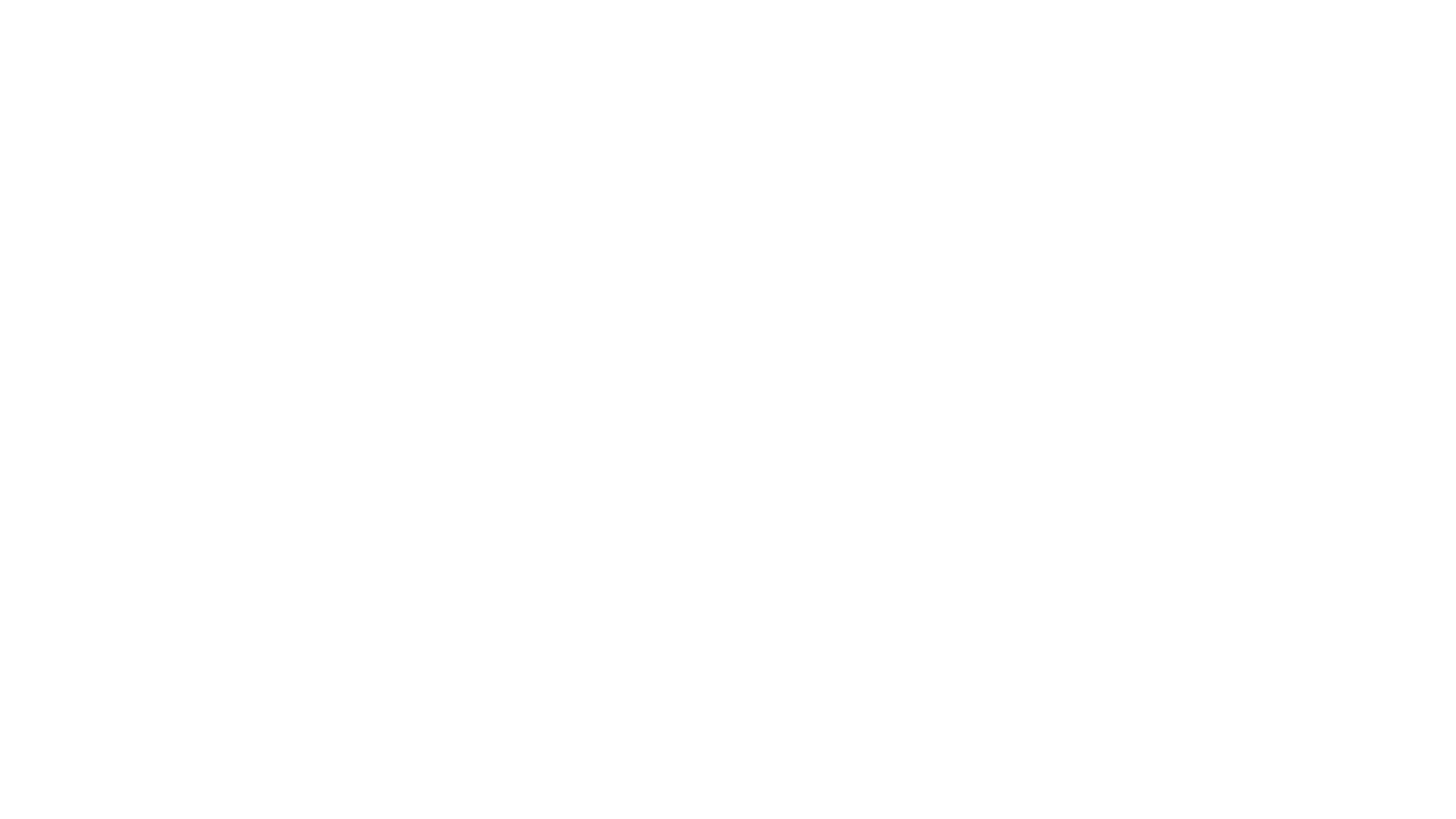 Station 19