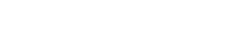 Wake Forest vs. UNC (1995 ACC Championship)