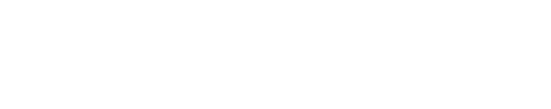 Wake Forest vs. UNC (1995 ACC Championship)