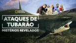 thumbnail - Ataques de Tubarão: Mistérios Revelados
