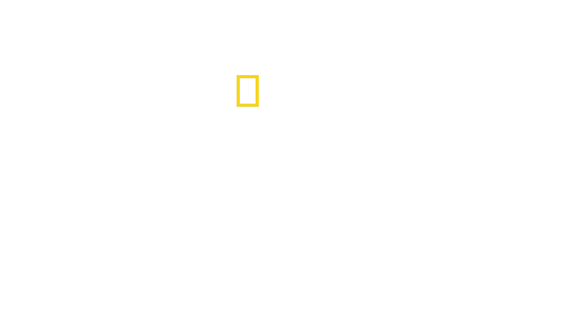 Nazi Megastructures