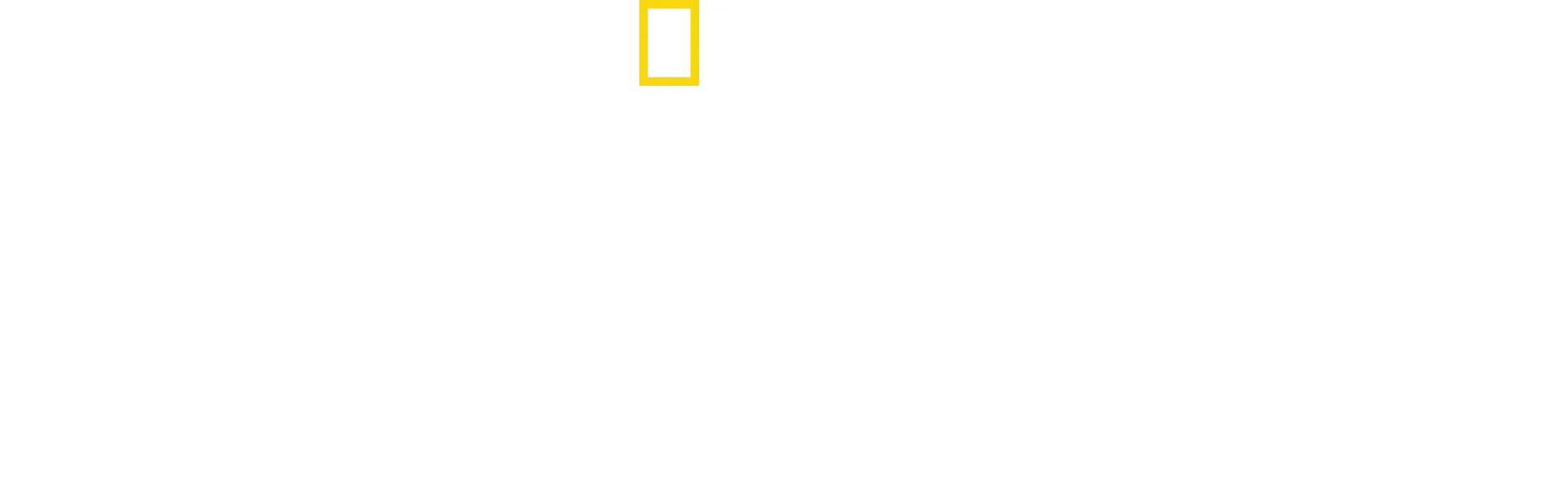 Nazi Megastructures