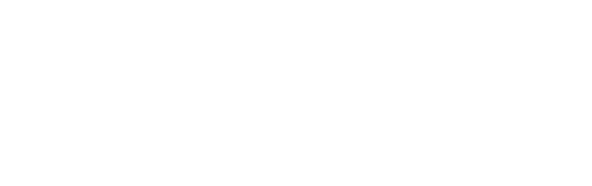 薩娜加格：務實制勝