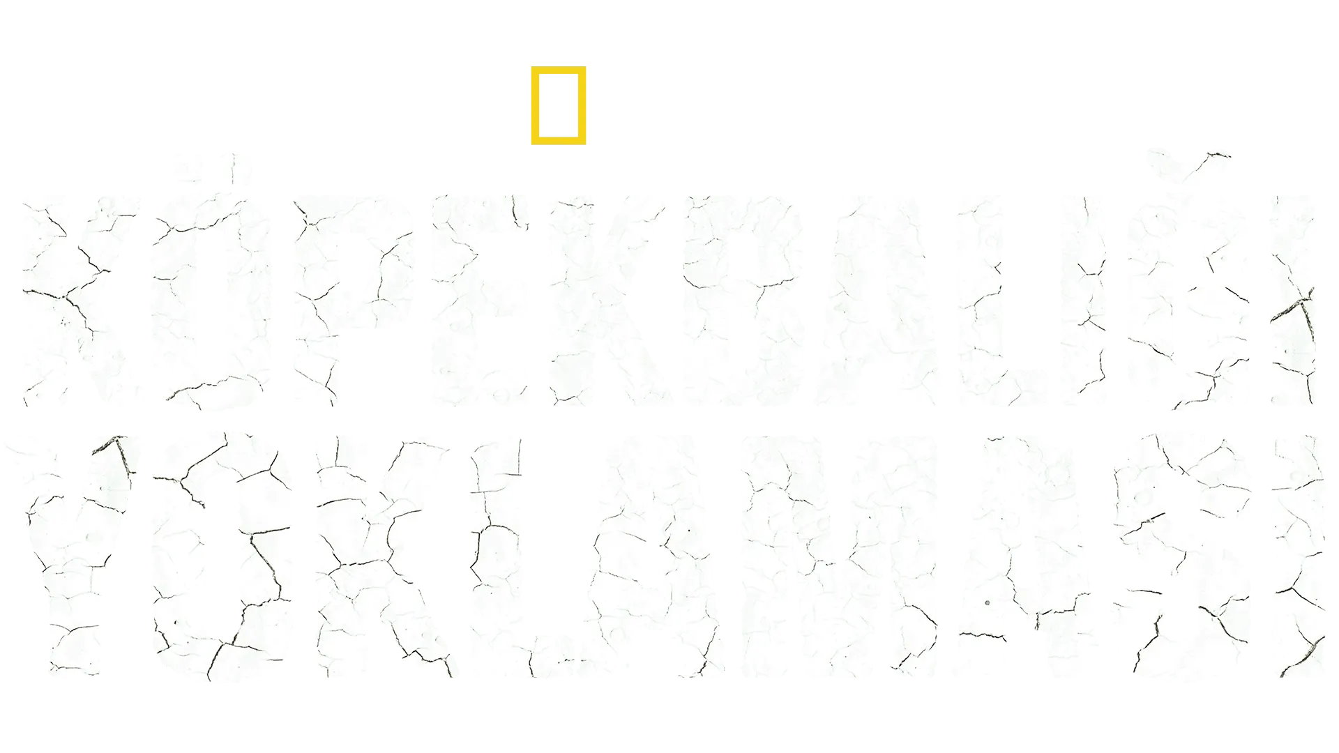 Köpekbalığı Yoklaması