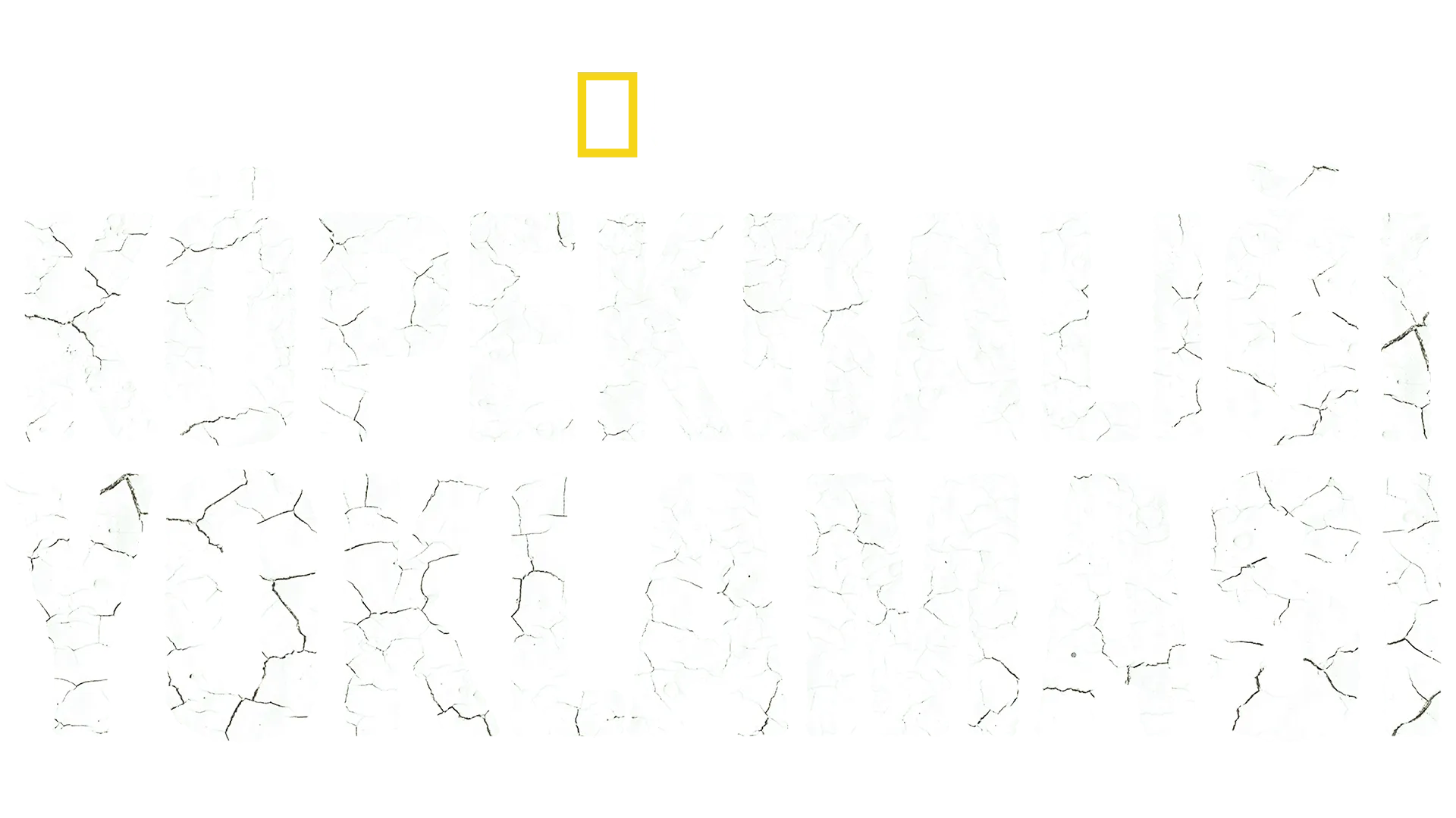 Köpekbalığı Yoklaması