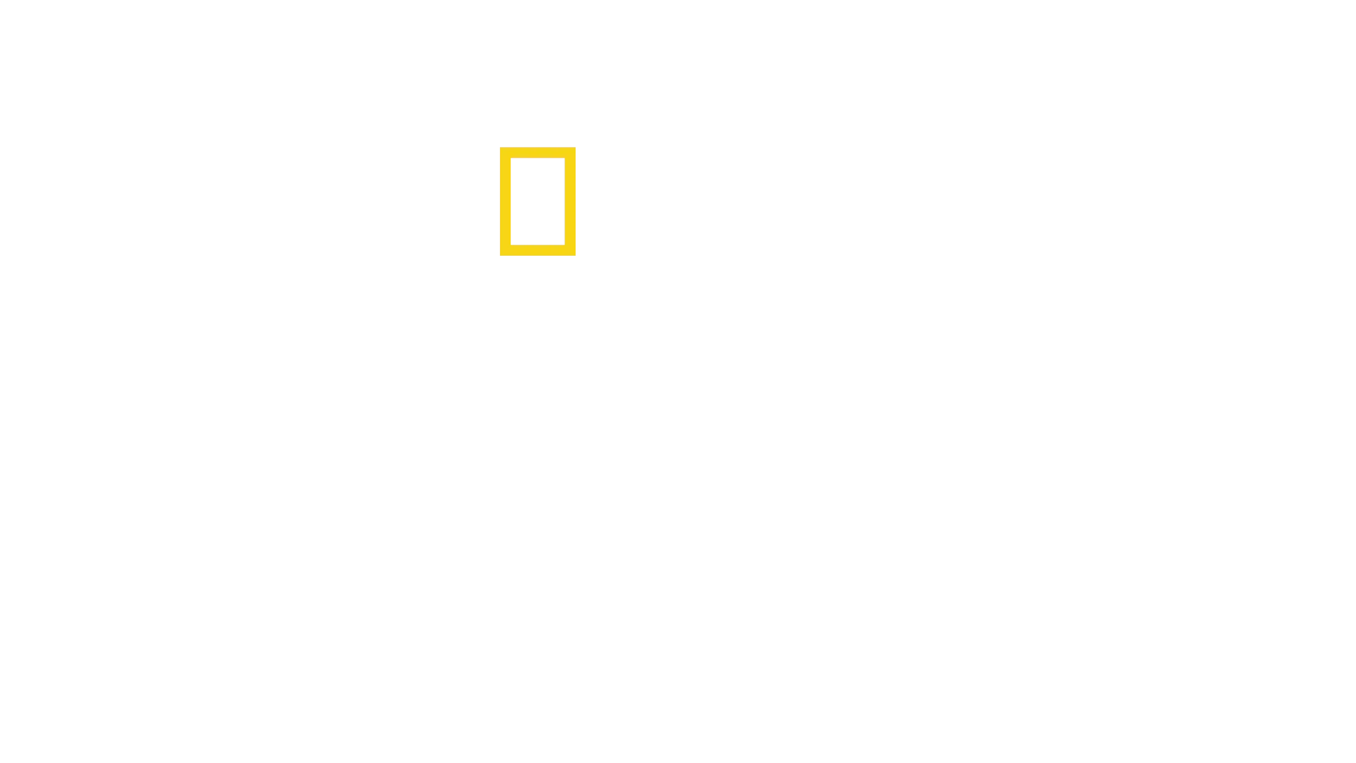 《雪崩余生》