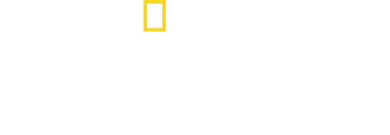 《雪崩余生》