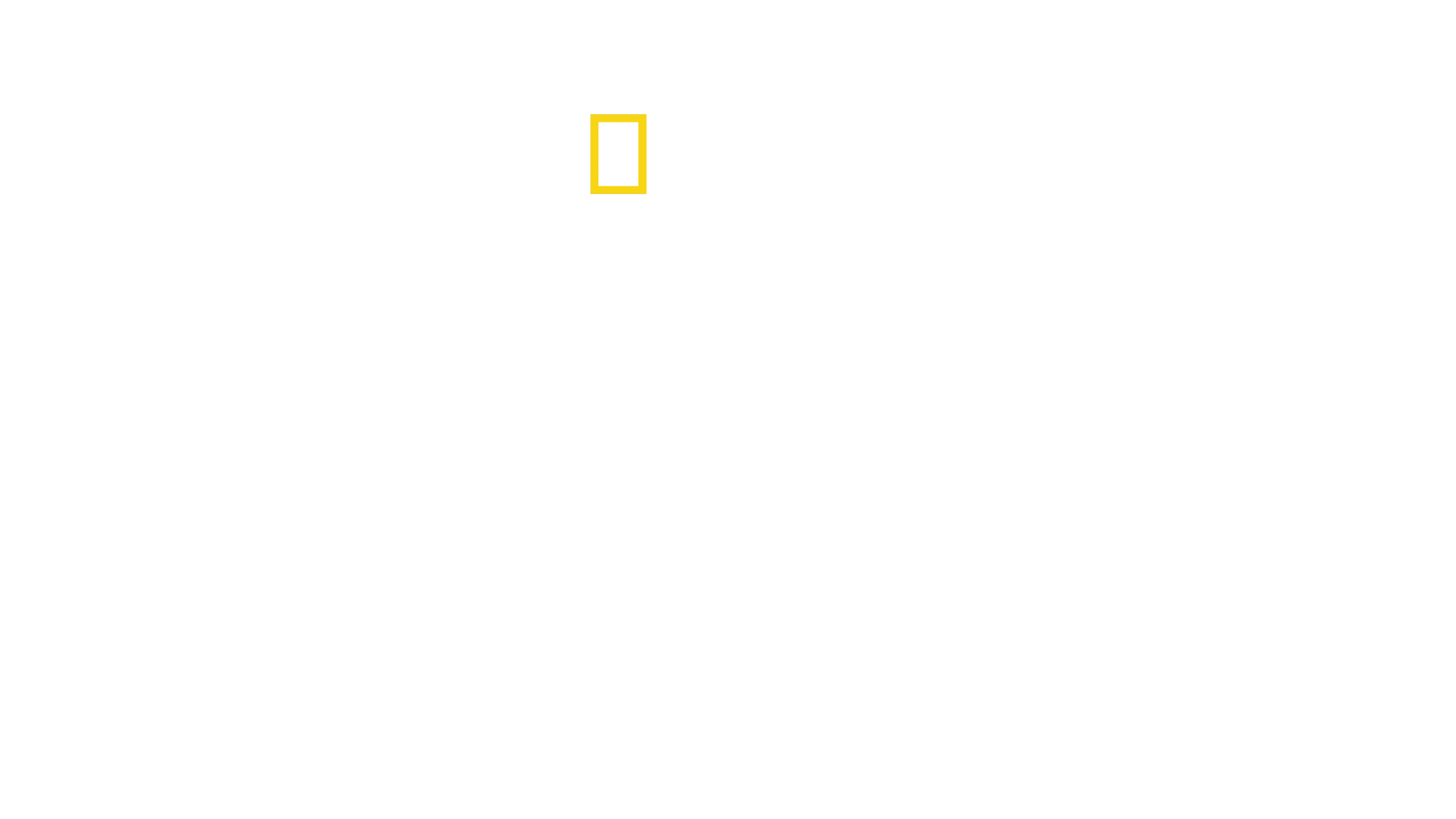 La battaglia finale