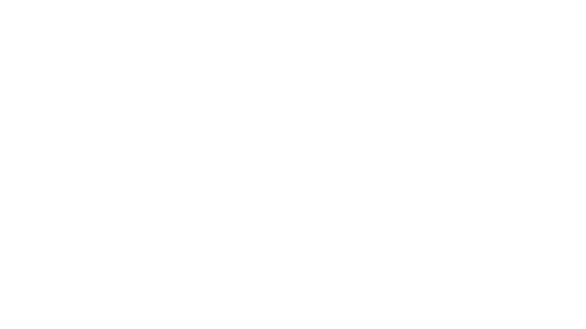 Der Alte
