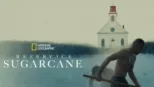 thumbnail - Rezervace Sugarcane