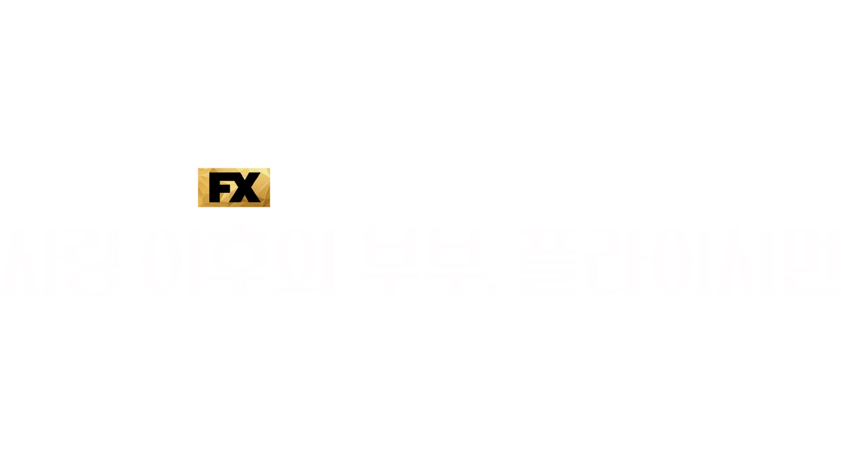 사랑 이후의 부부, 플라이시먼