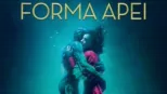 thumbnail - Forma apei