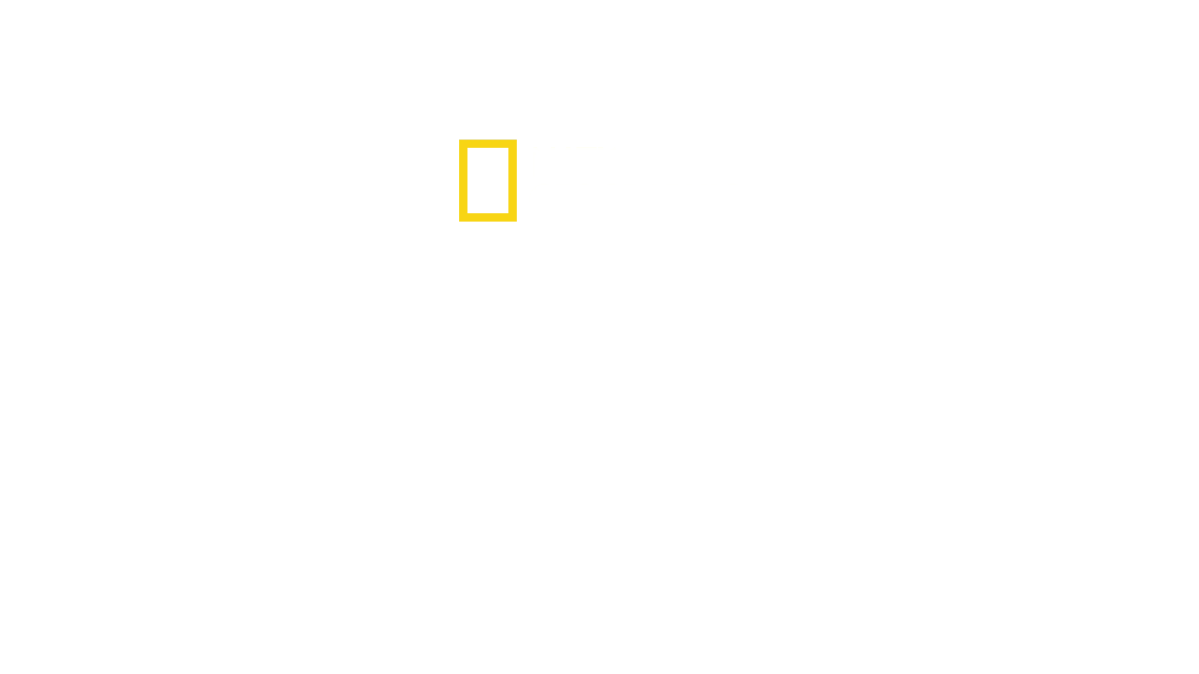 Afrika'nın Ölümcül Avcıları