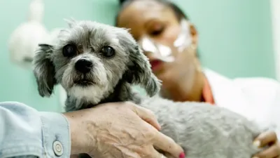 thumbnail - S1:E5 Beam Me Up, Snotty