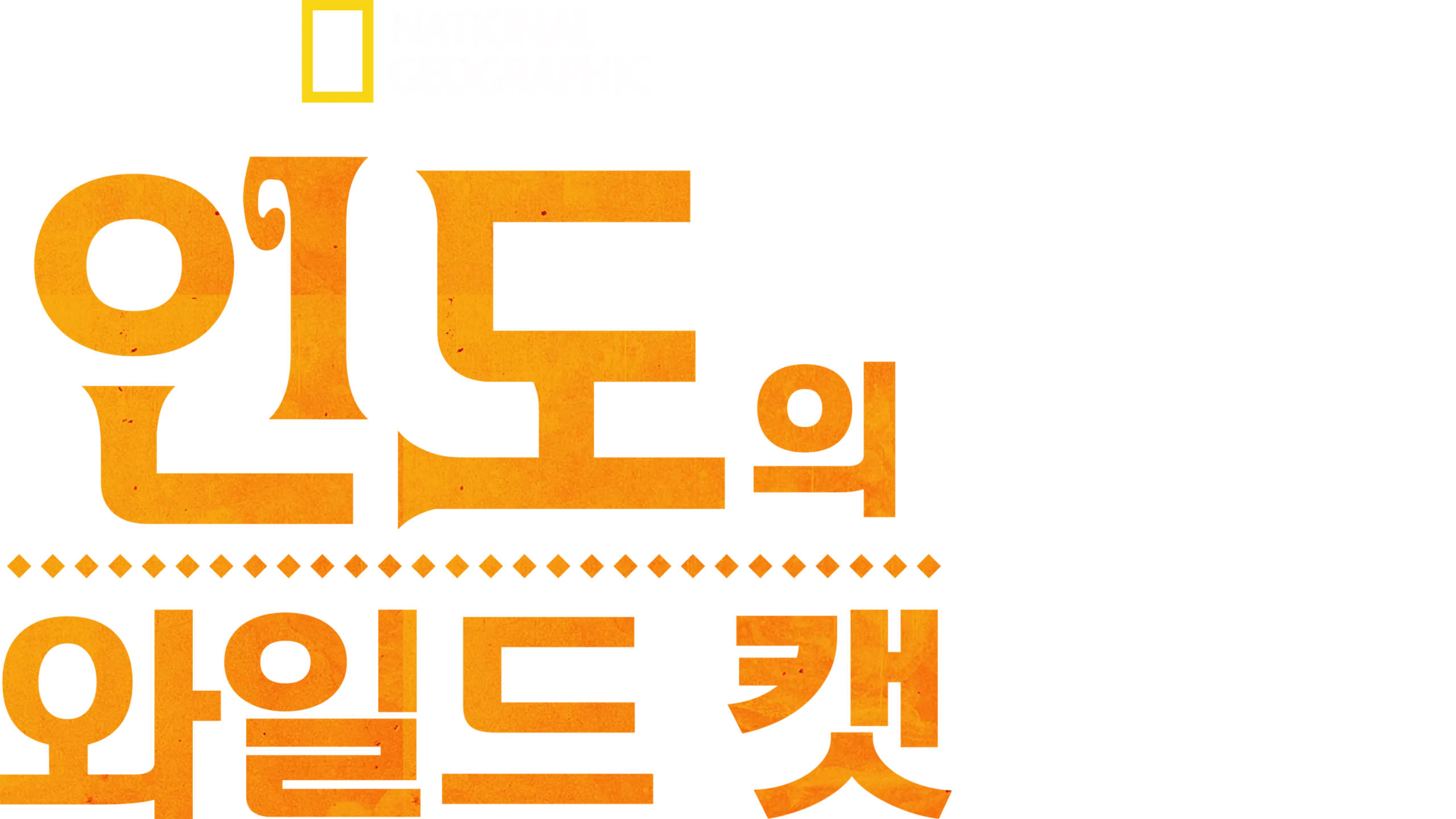 인도의 와일드 캣