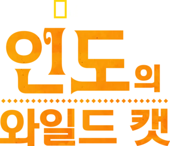 인도의 와일드 캣