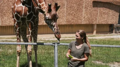 thumbnail - S1:E5 Leafy Lunchtime With Giraffes