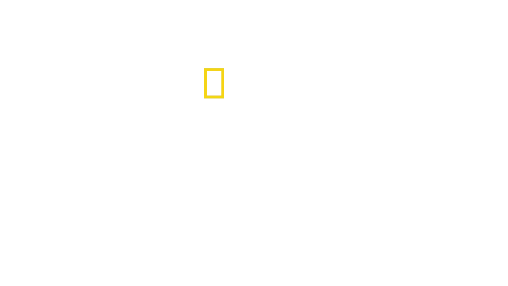 Gwieździsty sztandar