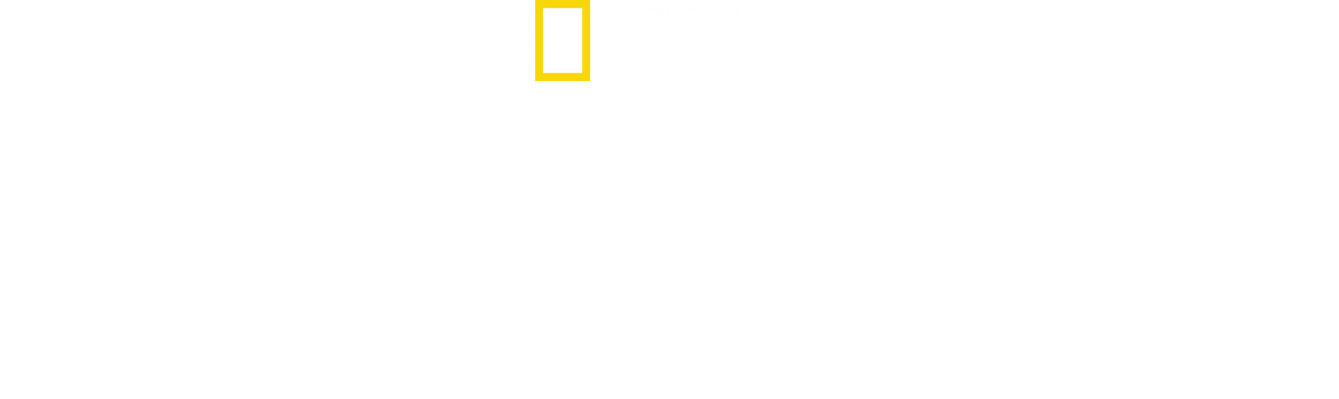 Gwieździsty sztandar