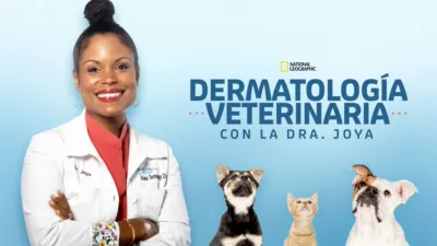 Dermatología veterinaria con la Dra. Joya
