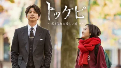 トッケビ～君がくれた愛しい日々～