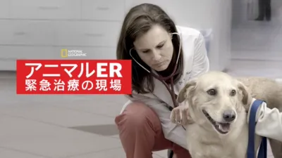 アニマルER 緊急治療の現場