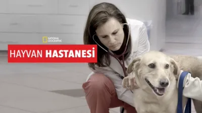 Hayvan Hastanesi