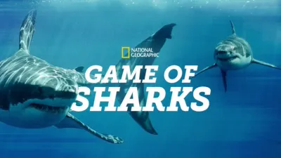 Game of Sharks