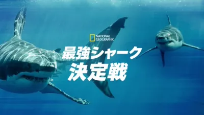 最強シャーク決定戦