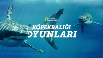Köpekbalığı Oyunları