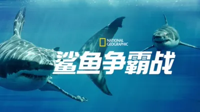 鲨鱼争霸战