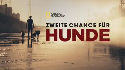Zweite Chance für Hunde