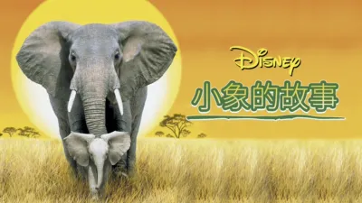 小象的故事