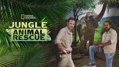 Jungle Animal Rescue