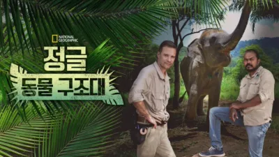 정글 동물 구조대