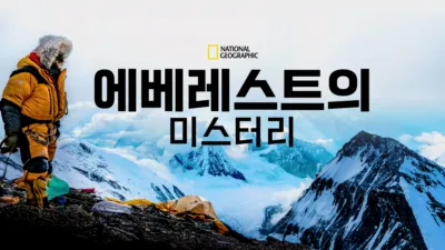 에베레스트의 미스터리