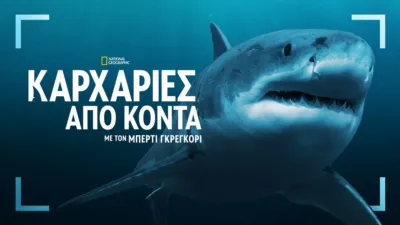 Καρχαρίες από Κοντά με τον Μπέρτι Γκρέγκορυ.