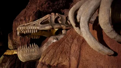 Behind the Attraction