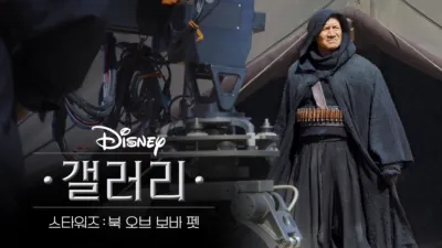 디즈니 갤러리 / 스타워즈: 북 오브 보바 펫