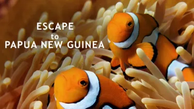 Escape to Papua New Guinea