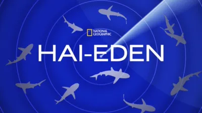 Journey To Shark Eden