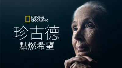 珍古德：點燃希望