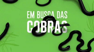 Em Busca das Cobras