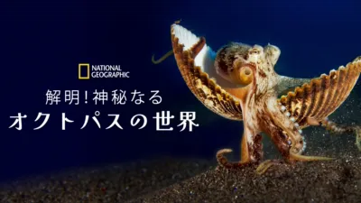 解明！神秘なるオクトパスの世界