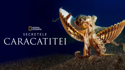 Secretele Caracatiței