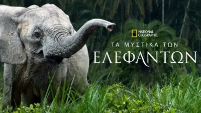 Τα Μυστικά των Ελεφάντων
