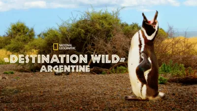 Destination Wild: Argentine
